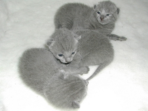 DSCN3093.JPG