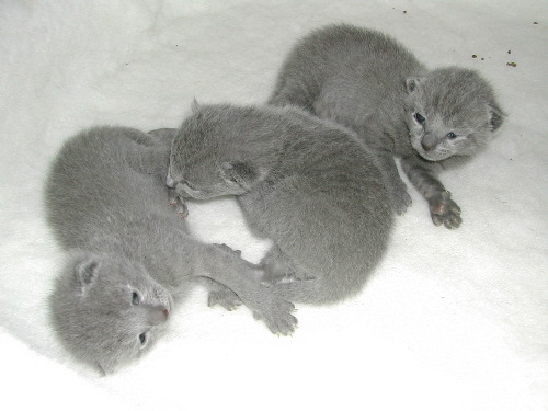 DSCN3092.JPG