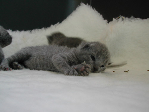 DSCN3083.JPG