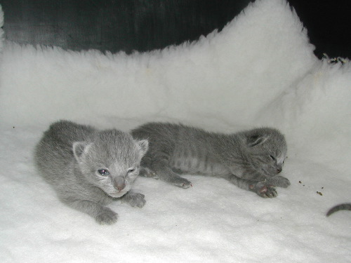 DSCN3077.JPG