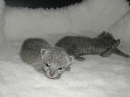 DSCN3076.JPG