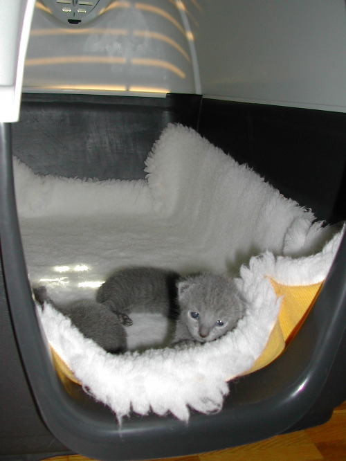 DSCN3098.JPG