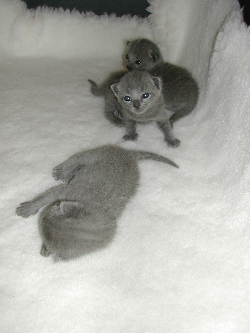 DSCN3110.JPG