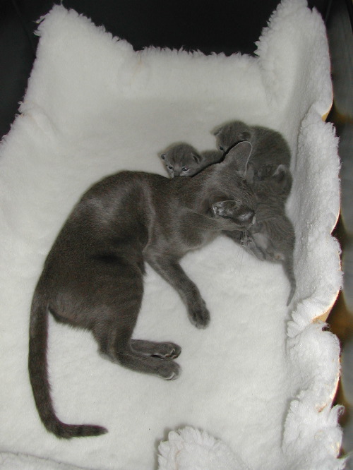 DSCN3109.JPG