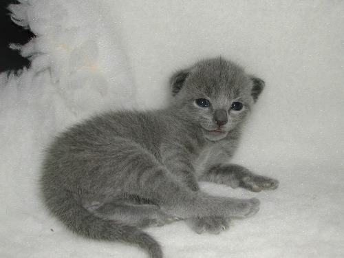 DSCN3125.JPG