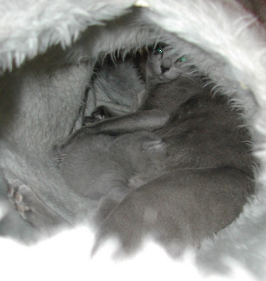 DSCN3118.JPG