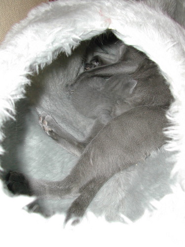 DSCN3116.JPG