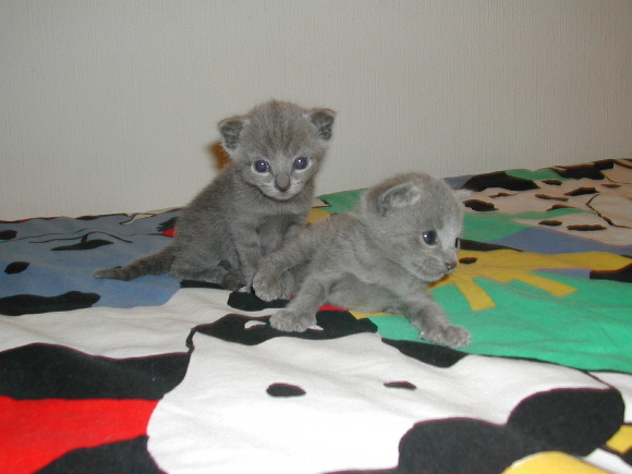 DSCN3182.JPG