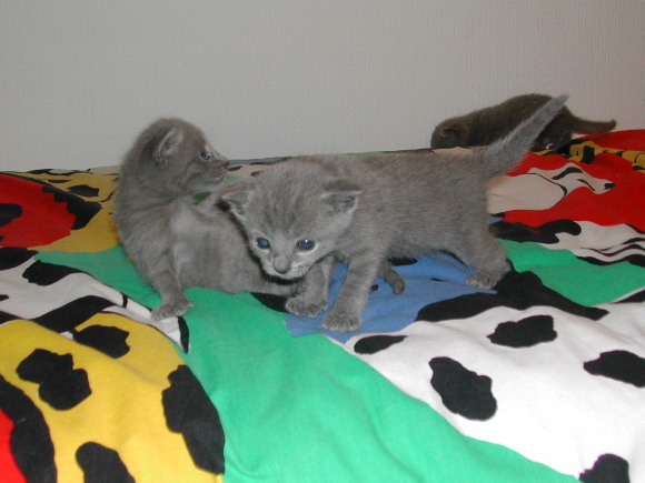 DSCN3159.JPG