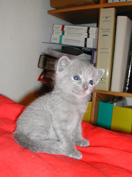 DSCN3148.JPG