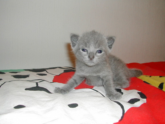 DSCN3144.JPG