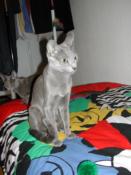DSCN3139.JPG