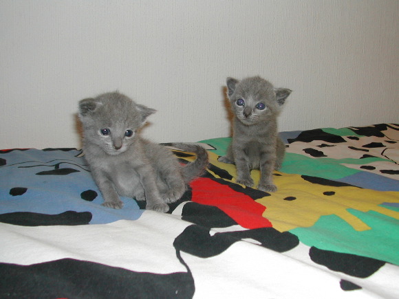 DSCN3176.JPG