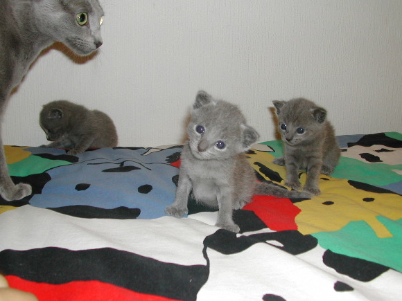 DSCN3175.JPG