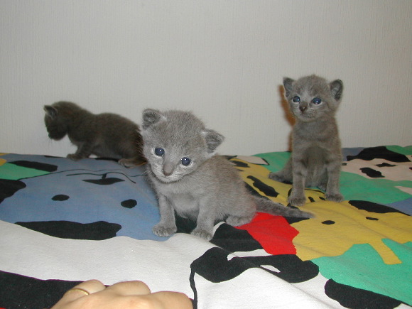 DSCN3173.JPG