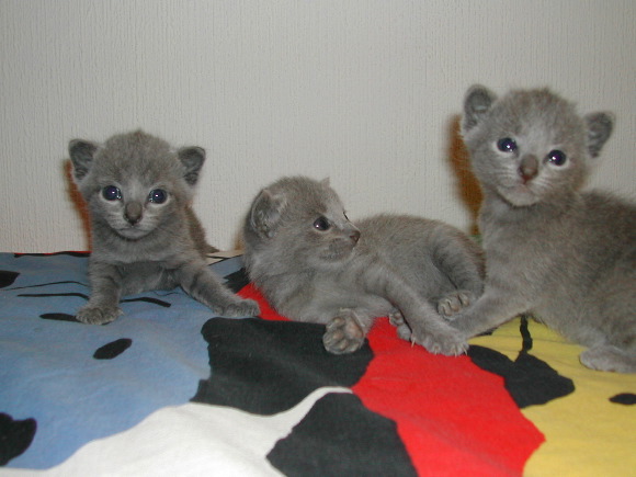 DSCN3170.JPG