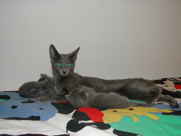 DSCN3168.JPG