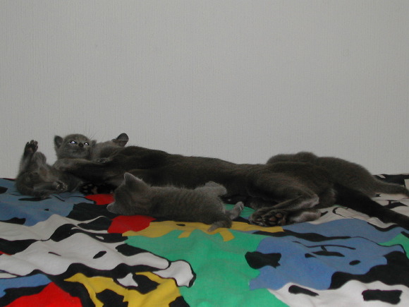 DSCN3165.JPG