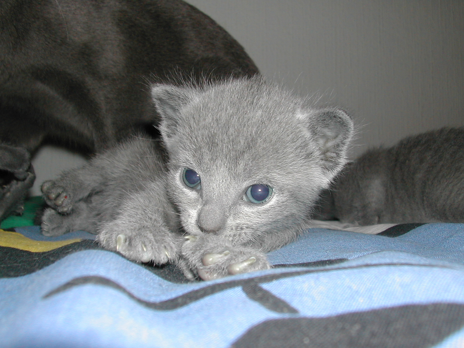 DSCN3162.JPG