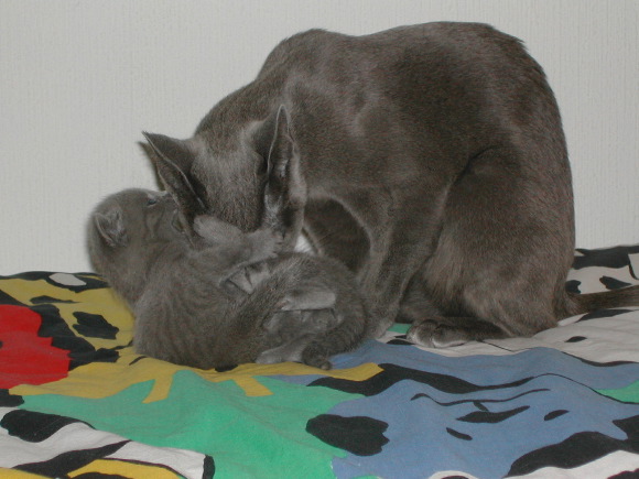 DSCN3161.JPG