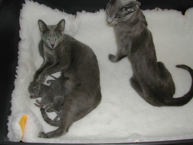 DSCN3008.JPG