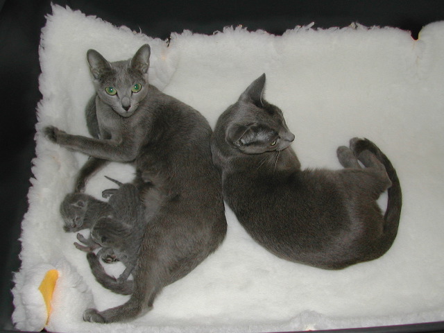 DSCN3007.JPG
