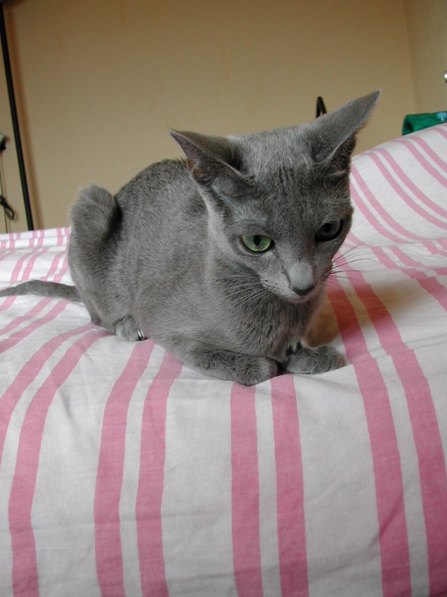 DSCN3207.JPG