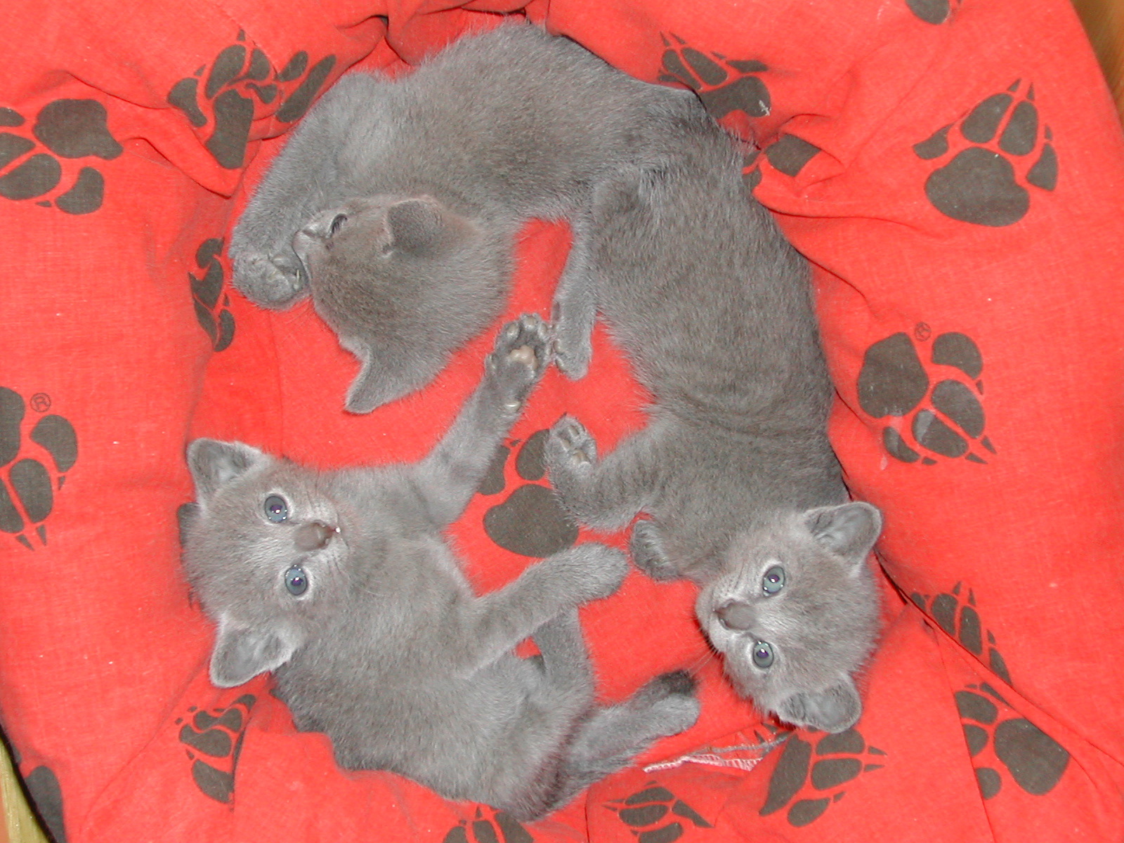 DSCN3202.JPG