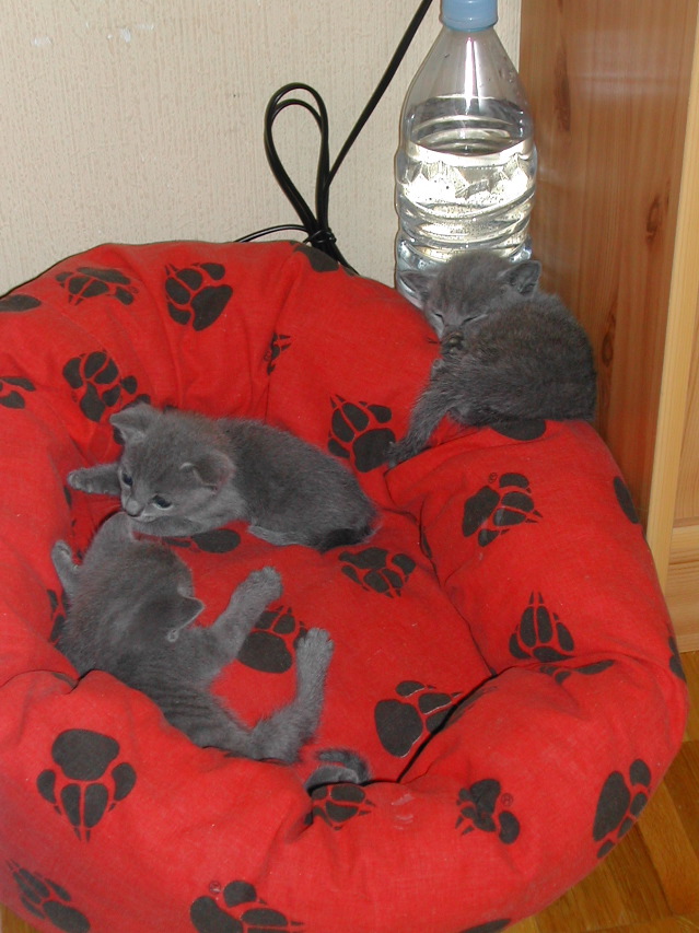 DSCN3200.JPG
