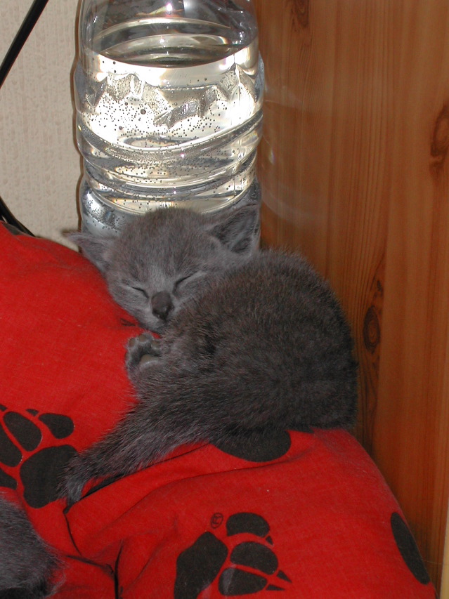 DSCN3199.JPG