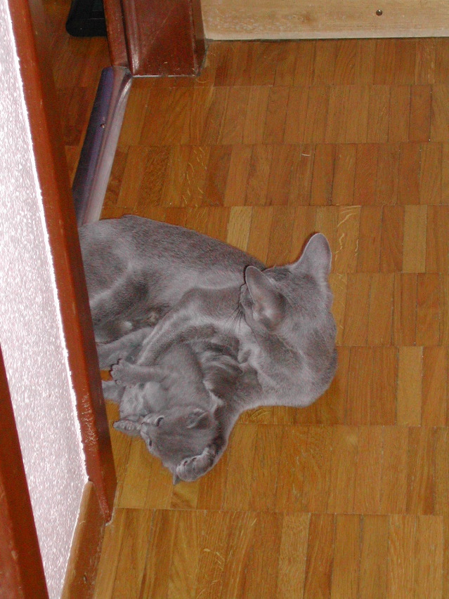 DSCN3186.JPG