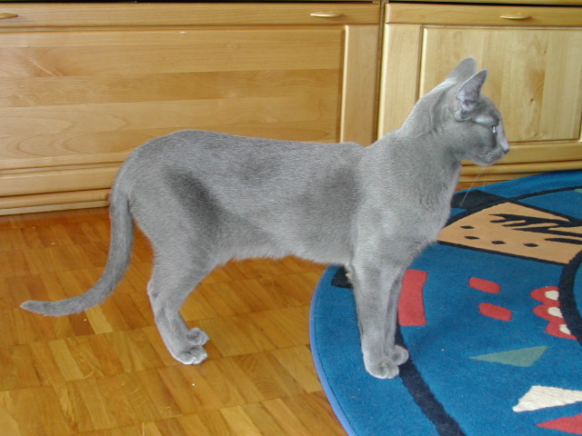 DSCN3226.JPG