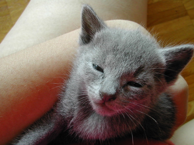 DSCN3218.JPG