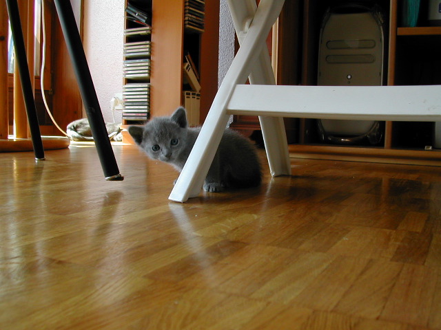 DSCN3212.JPG
