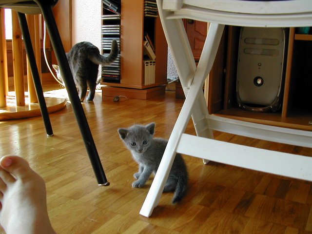 DSCN3210.JPG