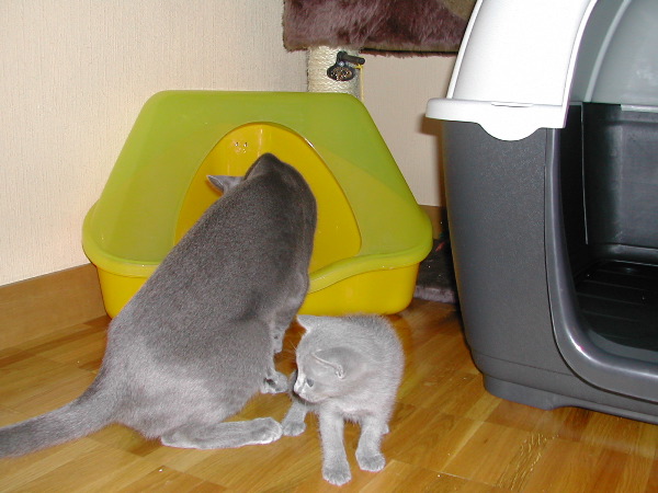 DSCN3251.JPG