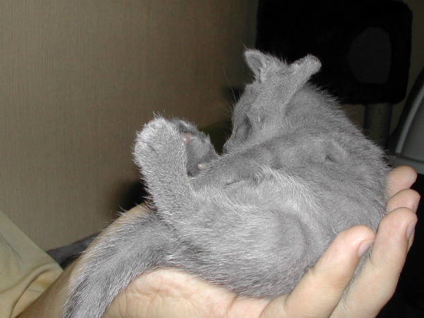DSCN3249.JPG