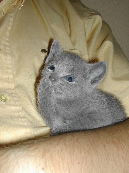 DSCN3237.JPG