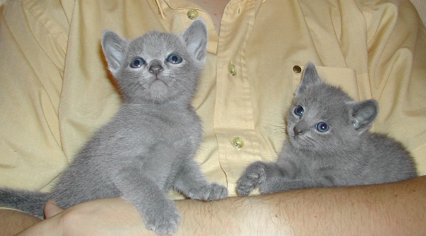 DSCN3236.JPG