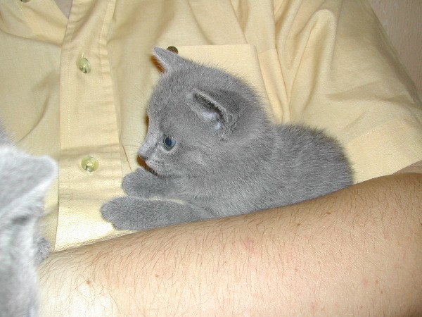 DSCN3235.JPG