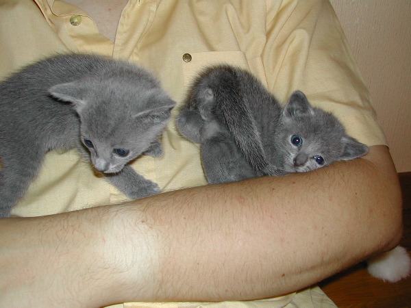 DSCN3234.JPG