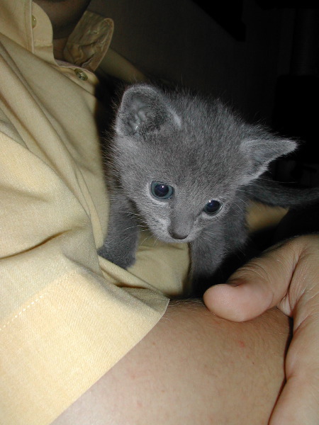 DSCN3233.JPG