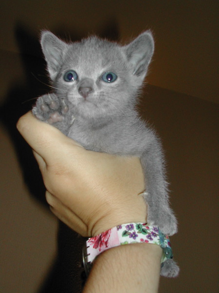 DSCN3232.JPG