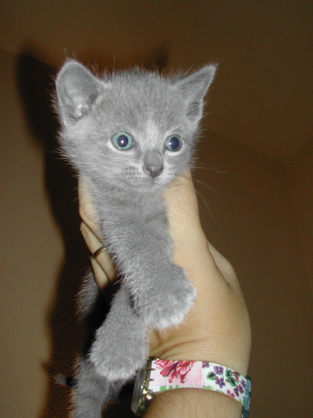 DSCN3230.JPG
