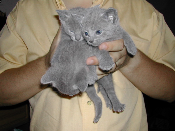 DSCN3227.JPG