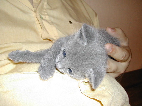DSCN3248.JPG