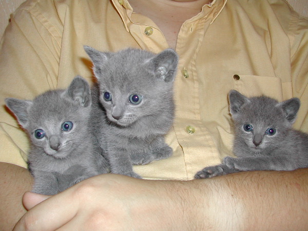 DSCN3241.JPG