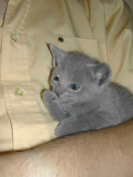 DSCN3240.JPG