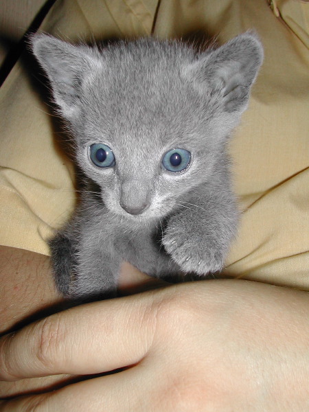 DSCN3239.JPG