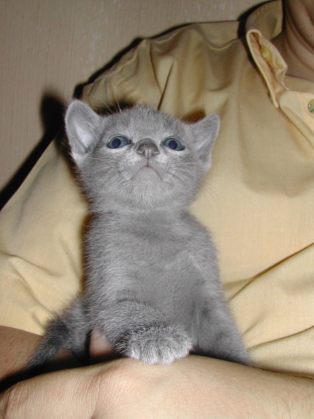 DSCN3238.JPG